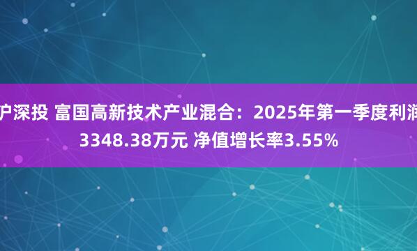 沪深投 富国高新技术产业混合：2025年第一季度利润3348.38万元 净值增长率3.55%