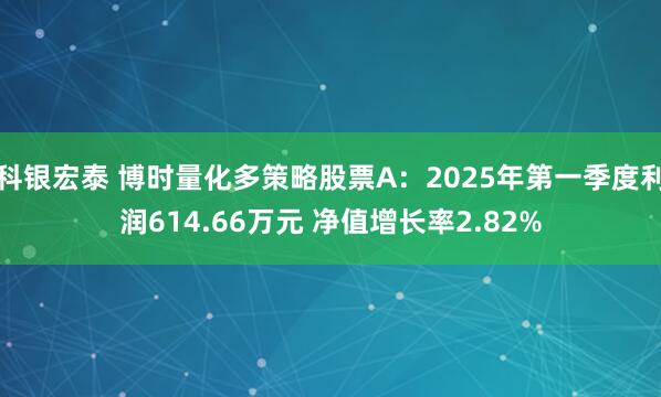 科银宏泰 博时量化多策略股票A：2025年第一季度利润614.66万元 净值增长率2.82%
