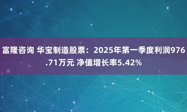 富隆咨询 华宝制造股票：2025年第一季度利润976.71万元 净值增长率5.42%