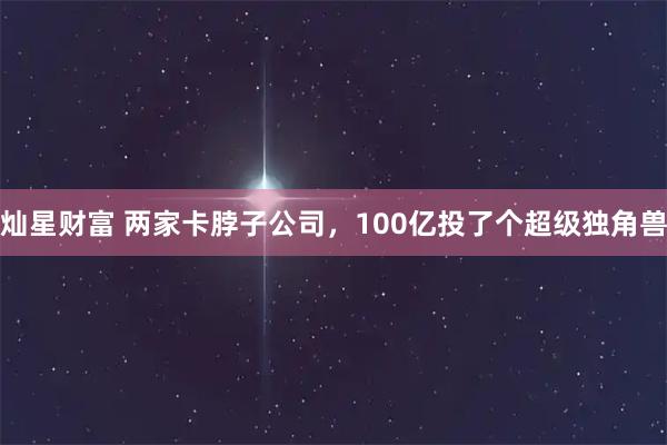 灿星财富 两家卡脖子公司，100亿投了个超级独角兽
