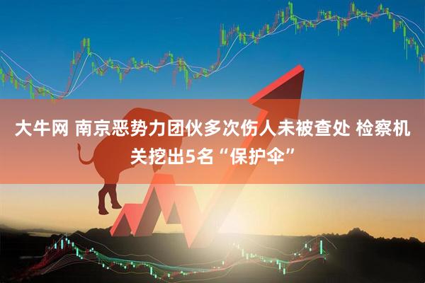 大牛网 南京恶势力团伙多次伤人未被查处 检察机关挖出5名“保护伞”