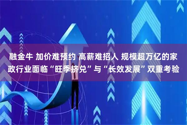 融金牛 加价难预约 高薪难招人 规模超万亿的家政行业面临“旺季挤兑”与“长效发展”双重考验