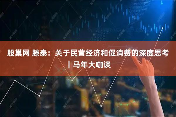 股巢网 滕泰：关于民营经济和促消费的深度思考︱马年大咖谈