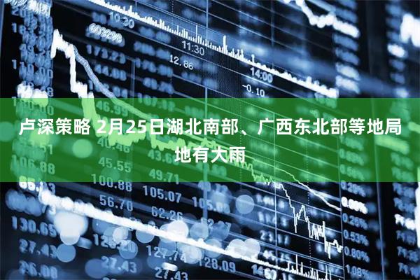 卢深策略 2月25日湖北南部、广西东北部等地局地有大雨